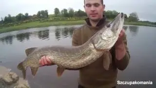Wędkarstwo Irlandia - 3 Duże Szczupaki na Spinning 95cm, 100cm i 108cm
