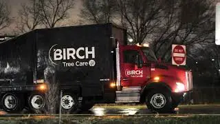 BIRCH Tree Care - Airport Job