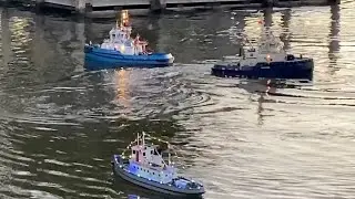 Lights on the Lake 2025
