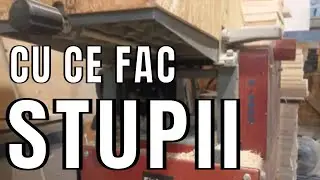 CU CE FAC STUPII  BEE VLOG