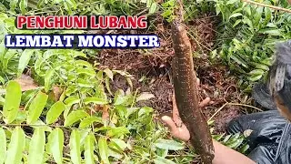 Asiknyaa !! NAJUR DI SPOT SEMAK BLUKAR NEMU LUBANG PENGHUNINYA LEMBAT MONSTER #BA-23