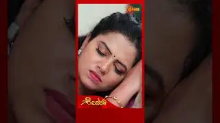 Sevanthi | #shorts | Udaya TV | Kannada Serial
