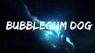 MGMT - Bubblegum Dog (Lyrics)