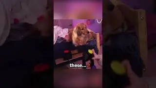Горошек снова создает проблемы 😭