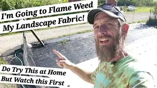Flame Weeding Landscape Fabric for a Weed Free Farm!