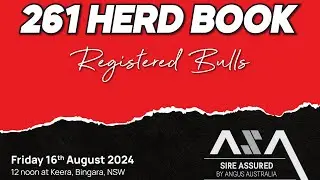 2024 Bull Sale Day Highlights