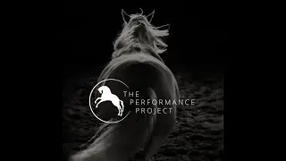 The Performance Project- A Transformational Sports Psychology Course for Riders