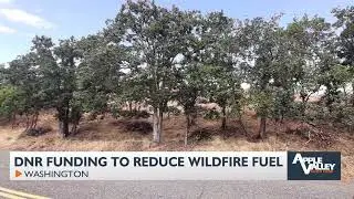 DNR cost-share program helps small forest landowners reduce wildfire risk