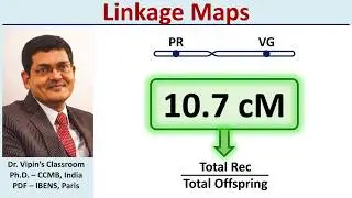 Genetic Maps or  Linkage Maps #genetics #linkage #mendeliangenetics  #centimorgan #recombination