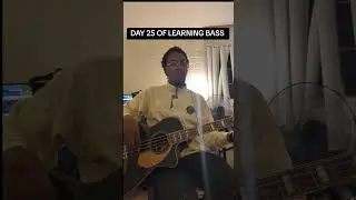 DAY 025 OF LEARNING BASS #steelydan #bass #rock