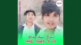 Sahid Singer SR 001