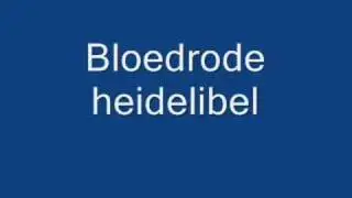 Juffers en Libellen