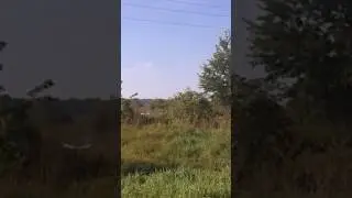Rajdy baranowo