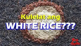 WHICH IS HEALTHIER: RICE OR CORN?