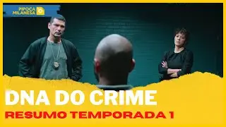 DNA DO CRIME | RESUMO COM SPOILERS DA PRIMEIRA TEMPORADA. Pipoca &agrave; Milanesa