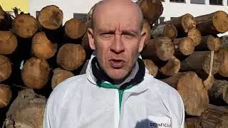 Dankov Lesostav Rev&uacute;ca dezinficovan&yacute;