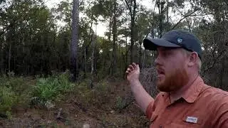 Eastern Indigo Snakes - Seasonal Habitat