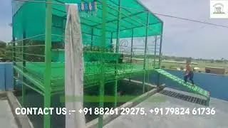 Smart Goat Shed Setup at Home | Modern Farming with InVivo Agritech Plastic Flooring