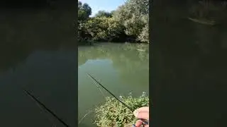 Fishing .Lure test CC38 Last cast. #fishinglive #fishingvideo #fishing