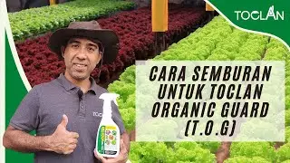 Cara-cara Menggunakan Toclan Organic Guard (TOG)