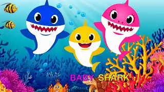 Baby Shark Doo Doo Doo🦈 - Best Songs and Nursery Rhymes + More Super Simple - Kids Songs
