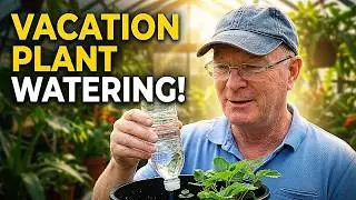 How To Water Your Plants When You Go On Vacation!
