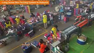 Long Screw Box Packing System In Malaysia --Focus Machinery
