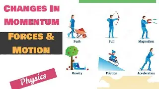 Changes In Momentum | Forces & Motion | Physics | Ladder Tips
