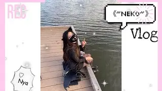 ☆Neko Vlog Nov 3☆