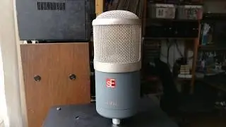 SE Electronics H3500, SE2200 (early model), Oktava MK-012, AKG C460 CK-61