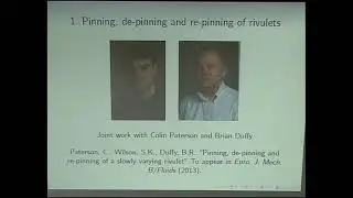 Prof. Stephen Wilson | A rigid or elastic plate floating on the free surface of a viscous film:...