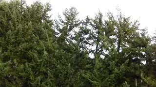 Grouse Mountain Parking Lot part1 (Espa&ntilde;ol)