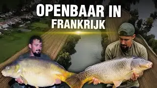 SOLO KARPERVISSEN op de Rivier 20kg+