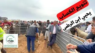 تتويج الكساب يحيى ابن الرضى 16 فحل سوبر باع كلشي .