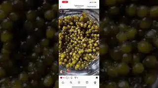 Exit9 IG Feed Showcase