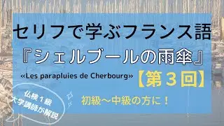 【フランス語を映画のセリフで学ぼう】『シェルブールの雨傘』« Les parapluies de Cherbourg» 第３回～フランス語初級から中級の方向け～仏検１級大学講師が解説！