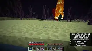 Beating Minecraft End Dragon