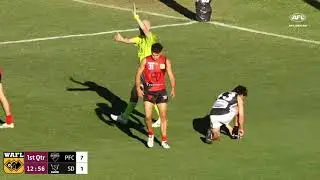 2024 WAFL Round 3: Perth v Swan Districts