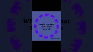 Strange purple optical illusion. Look at the elephants. #illusion