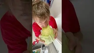 Eating a head of lettuce 🤢#shorts