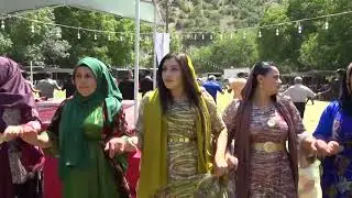İnan Ailesinin Mutlu Günü Şemdinli Düğünleri