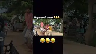 Dog sounds prank 🤣😆😂 #dogprank #publicreaction #funny #comedy #prankvideo #memes #trending