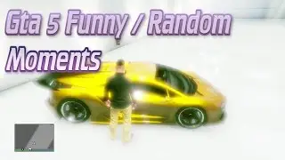 GTA 5 Funny/Random/Stupid Moments!