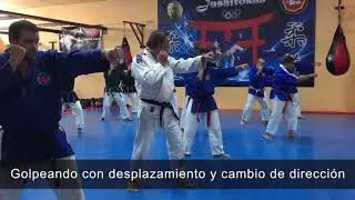 Jornada para Instructores  de Kaisendo (SIAK) - Madrid - 2017