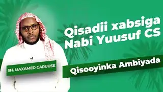 Qisadii labada nin ee xabsiga kula jiray Nabi yuusuf | Qisooyinka Ambiyada.