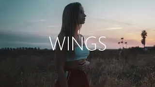 Said The Sky, baby blue - Wings (Lyrics)