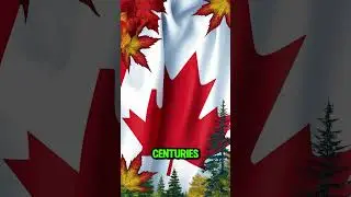 What the Maple Leaf on Canada&rsquo;s Flag Really Means? #flagmeaning #history #facts