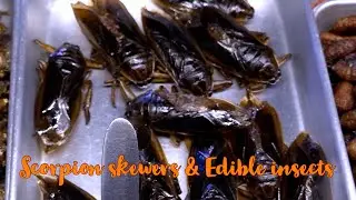 Scorpion skewers & Edible insects - Thailand Street Food at Bangkok