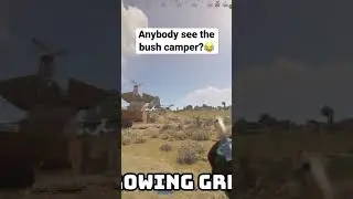 hidden bush camper 