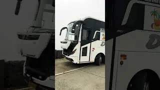 DADA BROTHERS EAIPUR TO GOA BUSES #bollywood #song #movie #automobile #badalroy #balwantgargi